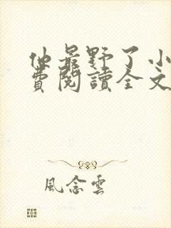 他最野了小说免费阅读全文