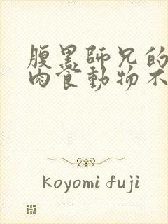 腹黑师兄的日常肉食动物不食草