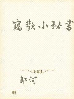 窃欢小秘书