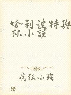 哈利波特与火焰杯小说