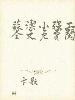 苏洁小强工地情全文免费阅读