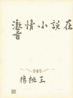 激情小说在线观看封面