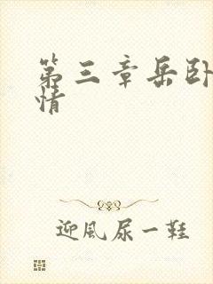 第三章岳卧室激情