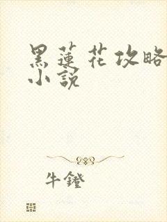 黑莲花攻略手册小说