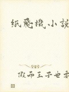 纸飞机小说