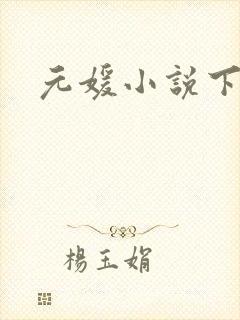 元媛小说下载封面