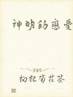 神明的恋爱游戏封面