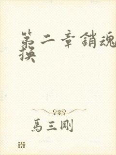 第二章销魂的交换