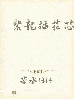 紫龙插花芯方正