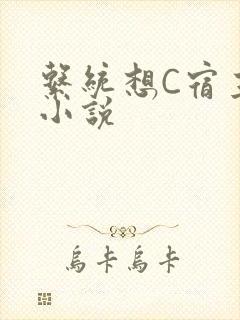 系统想C宿主的小说