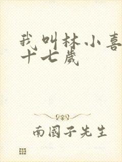我叫林小喜今年十七岁