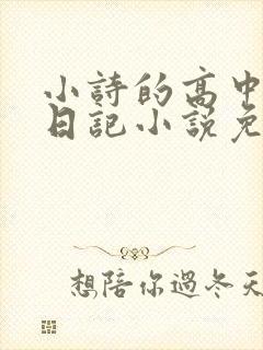 小诗的高中成长日记小说免费阅读