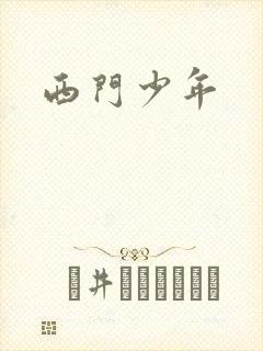 西门少年封面