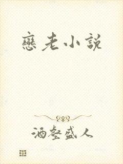 恋老小说