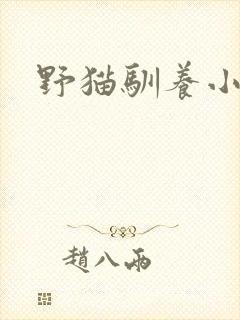 野猫驯养小说