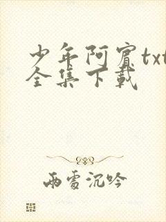少年阿宾txt全集下载