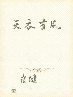天衣有风封面