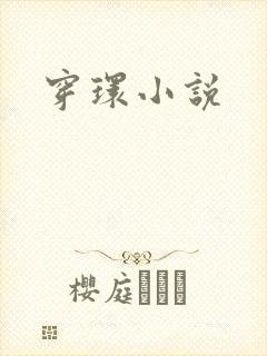 穿环小说