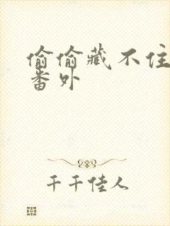 偷偷藏不住新婚番外