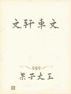 文轩车文