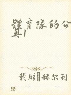 体育队的公用玩具1