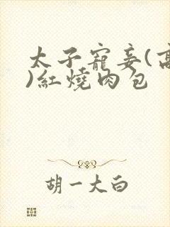 太子宠妾(高肉)红烧肉包