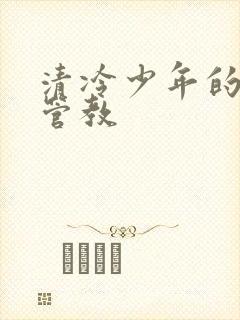 清冷少年的严厉管教