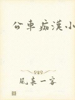 公车痴汉小说封面