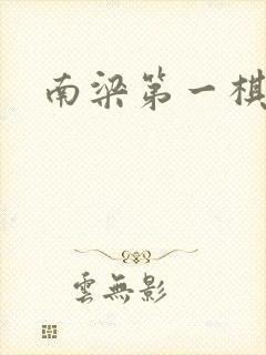 南梁第一棋手封面