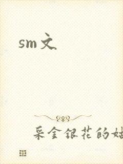 sm文