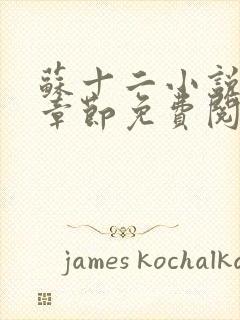 苏十二小说最新章节免费阅读