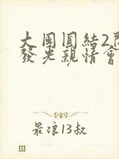 大团圆结2闪闪发光亲情会