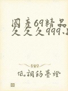 国产69精品久久久久999小说