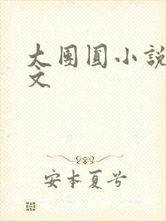 大团圆小说集全文封面