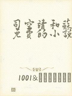 司空靖和苏月汐免费的小说笔趣阁封面