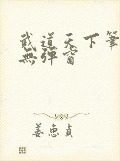 武道天下笔趣阁无弹窗