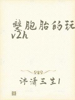 双胞胎的玩具1v2h