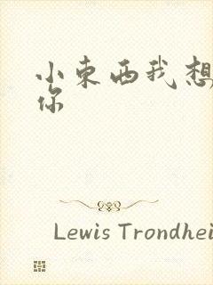 小东西我想弄坏你