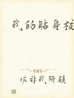 我的贴身校花封面