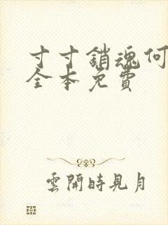 寸寸销魂何生祥全本免费