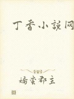 丁香小说网