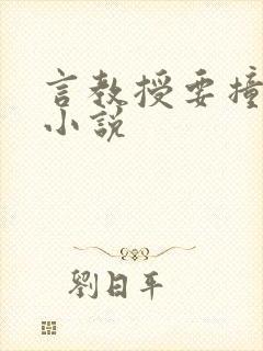 言教授要撞坏了小说