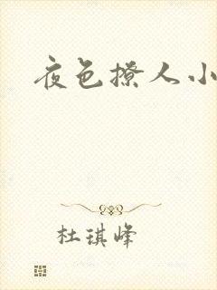夜色撩人小说封面