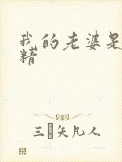 我的老婆是狐狸精