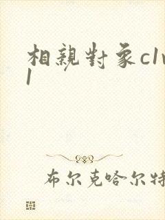 相亲对象c1v1封面