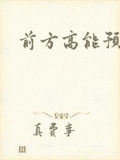 前方高能预警封面