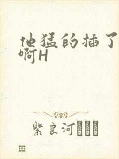 他猛的插了进去啊H