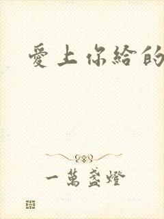 爱上你给的痛封面