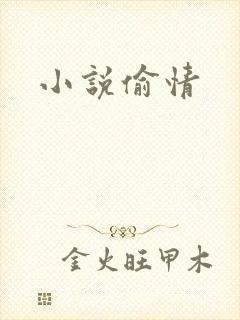 小说偷情