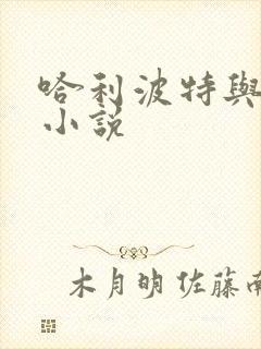 哈利波特与密室小说